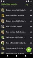 Bulbul bird sounds screenshot 2