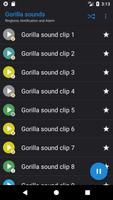 Gorilla sounds plakat