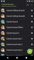 Appp.io - Camel geluiden screenshot 1