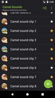 Camel Sounds screenshot 2