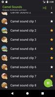 Appp.io - Camel звуки скриншот 2