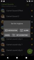 Appp.io - Deve sesleri Ekran Görüntüsü 3
