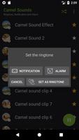 Appp.io - sons Camel capture d'écran 3