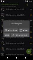Chimpanzee sounds captura de pantalla 3