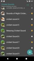 Appp.io - Crickets Bunyi syot layar 3