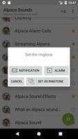 Appp.io - Alpaka Sesler Ekran Görüntüsü 3