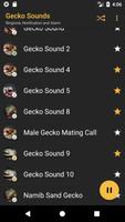 Appp.io - Gecko Dźwięki screenshot 2