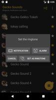 Appp.io - Gecko Dźwięki screenshot 3