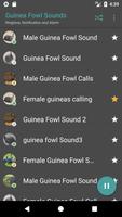 Guinea Fowl Sounds imagem de tela 1