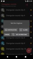 برنامه‌نما Orangutan sounds عکس از صفحه