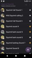 Appp.io - Squirrel Âm thanh ảnh chụp màn hình 1