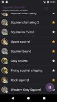 Appp.io - Sons d'écureuil capture d'écran 2