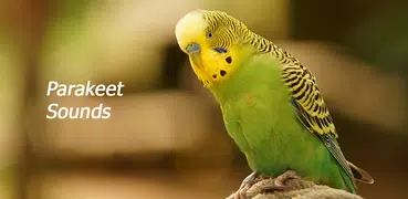 Appp.io - Parakeet Sounds