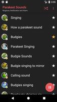 Parakeet Sounds screenshot 1