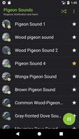 Appp.io - Pigeon Sounds capture d'écran 1