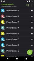 Appp.io - 小狗的声音 海报