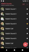 Rabbit Sounds скриншот 2