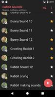 Rabbit Sounds capture d'écran 3