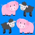 Animal Pairs