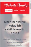 Website Analyzer 스크린샷 1
