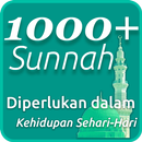 1000 Sunnah Diperlukan dalam K-APK