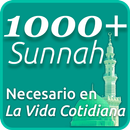 1000 Sunnah - Necesario en la vida cotidiana-APK