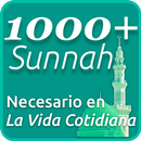 APK 1000 Sunnah - Necesario en la vida cotidiana