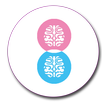 2 Brain Dots APK