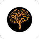 NewLifeLA-California APK