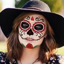 FaceArt Perfect Selfie Filters APK