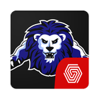 ikon Elite Talent Football