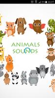 Animals Sounds Affiche
