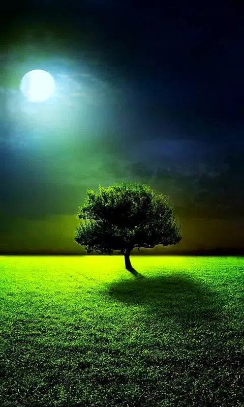 Moon & tree live wallpaper APK for Android Download Moon & tree live wallpaper APK for Android Download