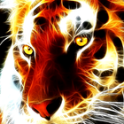 Tiger live wallpaper hd free - animal background icône