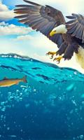 🦅 Eagle live wallpaper (animal, ocean) capture d'écran 2