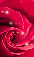 Rose live wallpaper Affiche