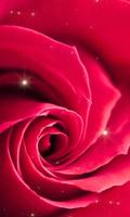 Rose live wallpaper syot layar 1