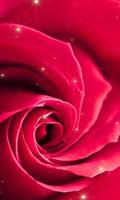 برنامه‌نما Rose live wallpaper عکس از صفحه