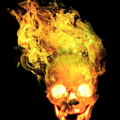 Skull live wallpaper