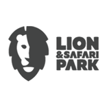 Lion and Safari Park VR