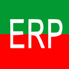 ERP ícone