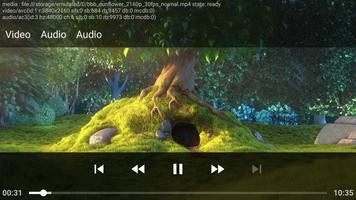 DoryCast - Video Player capture d'écran 2