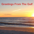 Florida Gulf Greeting icône
