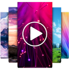 Video Wallpapers HD-icoon