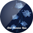 Tema-SXP Blue Rosa APK