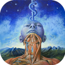 Sociedad Mexicana de Anatomía APK