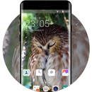 Theme for iBall Vogue 2.6c 3D Owl Wallpaper-APK