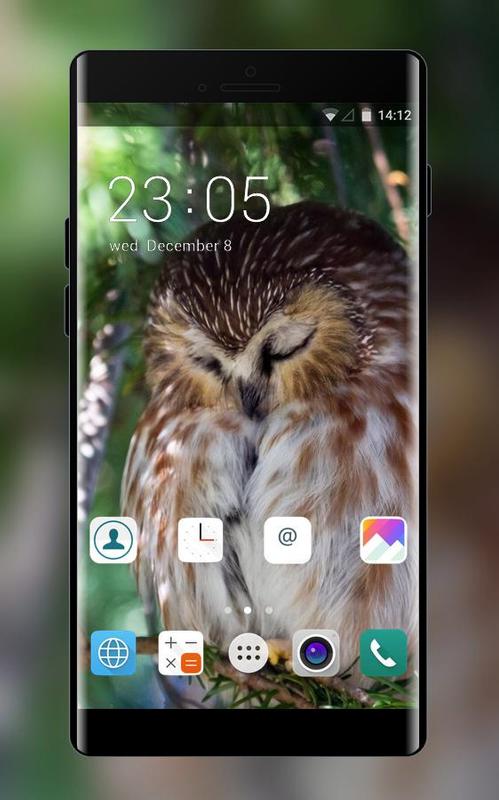 3d Owl Wallpaper Classycloud Co