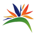 Bird Of Paradise