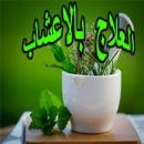 Herbal Therapy 2018 APK